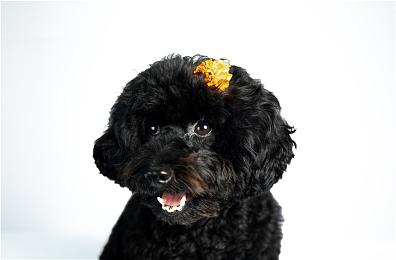 《心灵杀手2》首个DLC发售日宣传片 6月8日上线